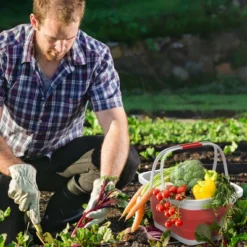 Hastings Home Collapsible Space-Saving Pop Up Handbasket And Storage Bin - Red -Hastings Home Sales GUEST e9e9f5b7 7371 4e74 ada2 c4f0511789ca
