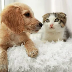 Hastings Home 24" Faux Fur Shag Pillow - Gray -Hastings Home Sales GUEST f1b410c7 1767 4339 9396 3b2960b8fa21